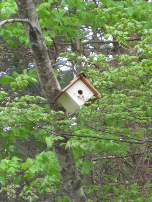 Birdhouse